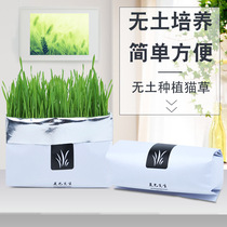 (Free gift for over 80 yuan) One bag or a cup of cat grass soilless cat grass hydroponic nutrient soil watering can grow