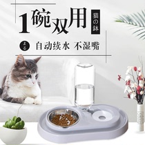 Cat bowl Double bowl Automatic drinking water Anti-tipping cat food bowl Daily multi-bowl dog bowl Stainless steel cat bowl Pet supplies