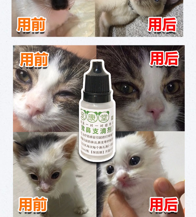 Mèo mũi mèo có thuốc nhỏ mắt, hắt hơi, hắt hơi, chảy nước mũi, chảy nước mắt, mụn rộp, viêm kết mạc, thuốc nhỏ mắt - Thuốc nhỏ mắt nước mắt nhân tạo systane ultra