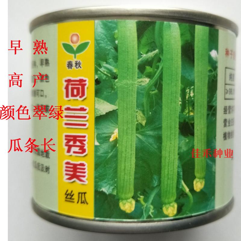 Long loofah seed seed seed larvae Early ripening high yield loofah spring sowing four seasons vegetable seed larvae greenhouse field