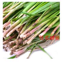 Shouguang single-rooted red leek seeds purple roots red roots leeks Moss autumn balcony potted vegetables