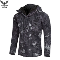 Black Python Pattern