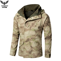 Пешевая выписка