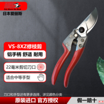 Japan imported pruning shears Alice arsVS-XZ XR fruit branch shears garden gardening shears thick branch shears pruning shears