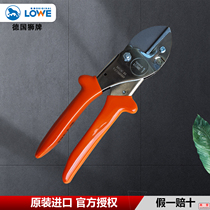 Germany imports lion brand pruning shears LOWE1 104 107 anvil pruning fruit tree cutting hard branches thick branch cutting fruit branch cutting