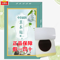 Today Bian Que herbal cool stickers Throat stickers wormwood herbal stickers unisex evening stickers Morning Jie factory shop