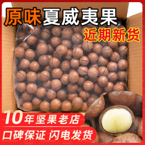 Hawaiian fruit original flavor no addition for pregnant women dried fruit snacks 5kg fresh large granular nuts whole box 10kg bulk