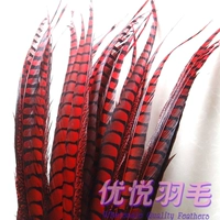 Большой красный кусок 85-95 см