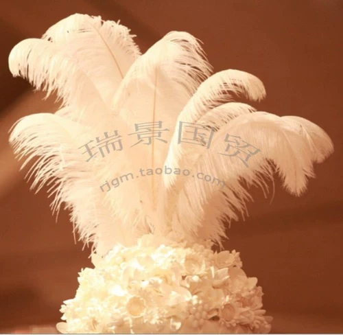 Фабрика прямой продажи перья страуса Свадебные праздники для совершения страусов на сцене на сцене