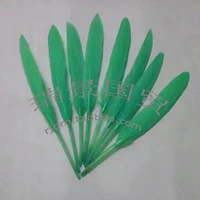 Трава зеленая