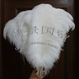 Острие перья импортированные страусные перья импортированные страусные перья 60-65 см. Стадия свадебного украшения для Южной Африки