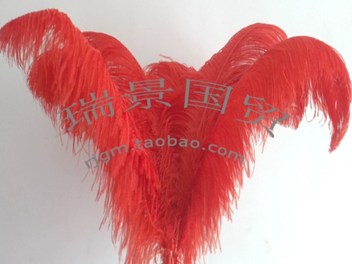 Эссенция полного снабжения толстых стержней, широковолосанные страусные перья 65-70, 70-75см.