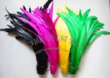 Прямо проданные импортные коктейльные перья с 30-35 см, куриные перья, красочные перья, аксессуары для одежды, представления