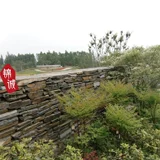 Натуральная баньянская культура камень Водолей хаос двор сад сад цветочные пруды нерегулярно хаотические края