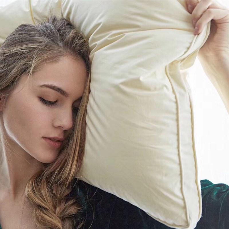 Five-star hotel soft fluffy slow rebound down velvet pillow core single adult cotton pillow 48*74cm