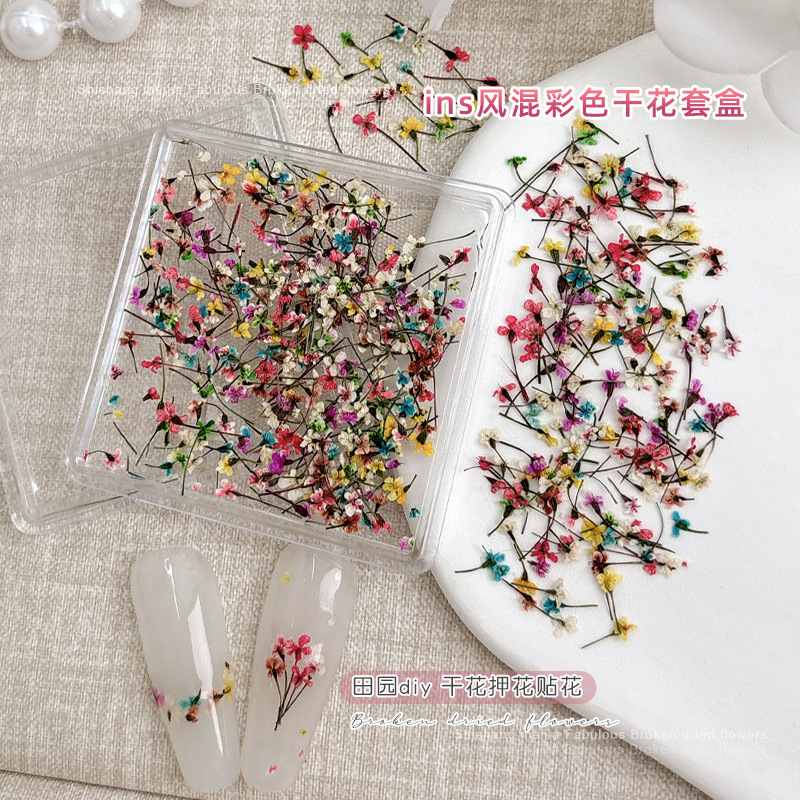 ins Popular Nail Art Dried Flower Decorations 3D Fresh Mixed Color Petals Natural Real Flower Nail Stickers Decorative Materials