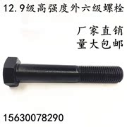 12,9 M10 vít răng đầy đủ / bu lông đầu lục giác / ốc vít M10 * 20/25/30/35/40 / 45-60 - Chốt