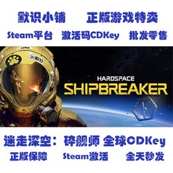 Steam Official Version Hardspace: Shipbreaker Global Cd Key