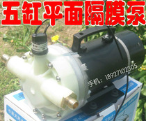 Agricultural electric sprayer Garden 5-cylinder diaphragm water pump with fan 12V24V48V60V high pressure sprayer