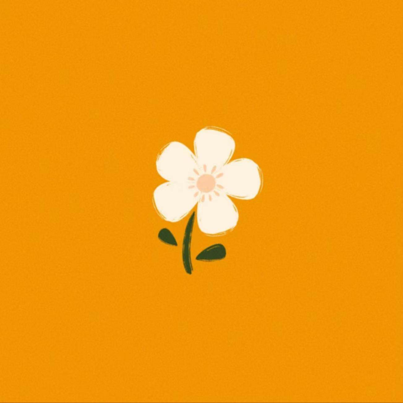 花花解忧铺的LOGO