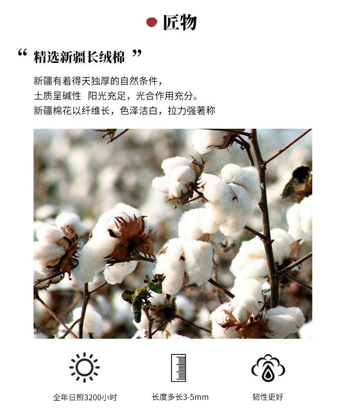 オ ル ル Bảo tàng Khăn Yiguang khăn mặt cotton cotton mặt nam tối màu khăn lau nhà dày - Khăn tắm / áo choàng tắm