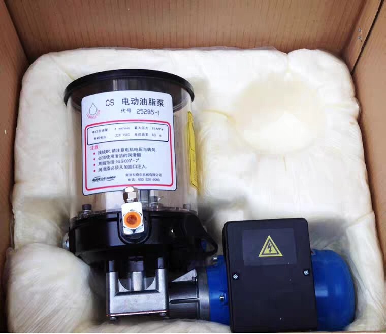 Nanjing Beiqier Cs Electric Grease Pump Code 25285-1 53800 22449 25219 25218