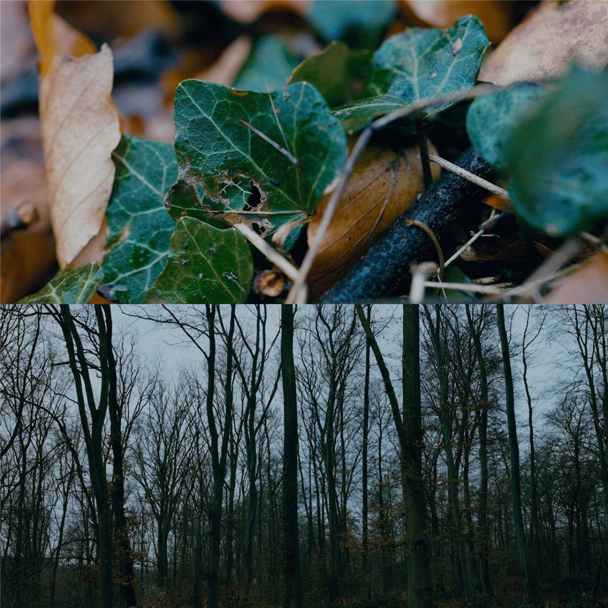 07.jpg