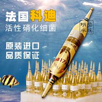 French ProdiBio Cody nitrifying bacteria Nitrifying bacteria Digestive bacteria Deaf universal aquarium