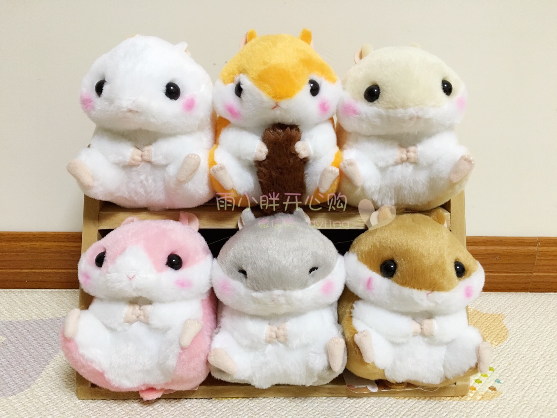 amuse hamster