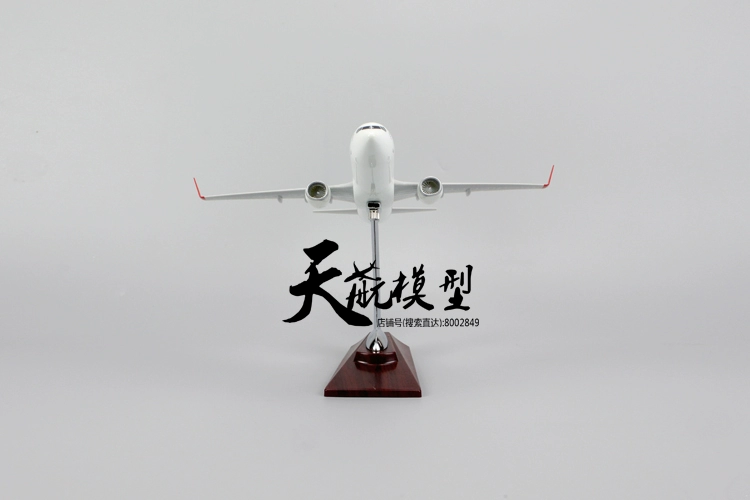 Máy bay Boeing 737 hãng hàng không hành khách hãng hàng không hành khách mô hình máy bay chở khách trang trí tĩnh 30 cm đồ chơi cho bé trai