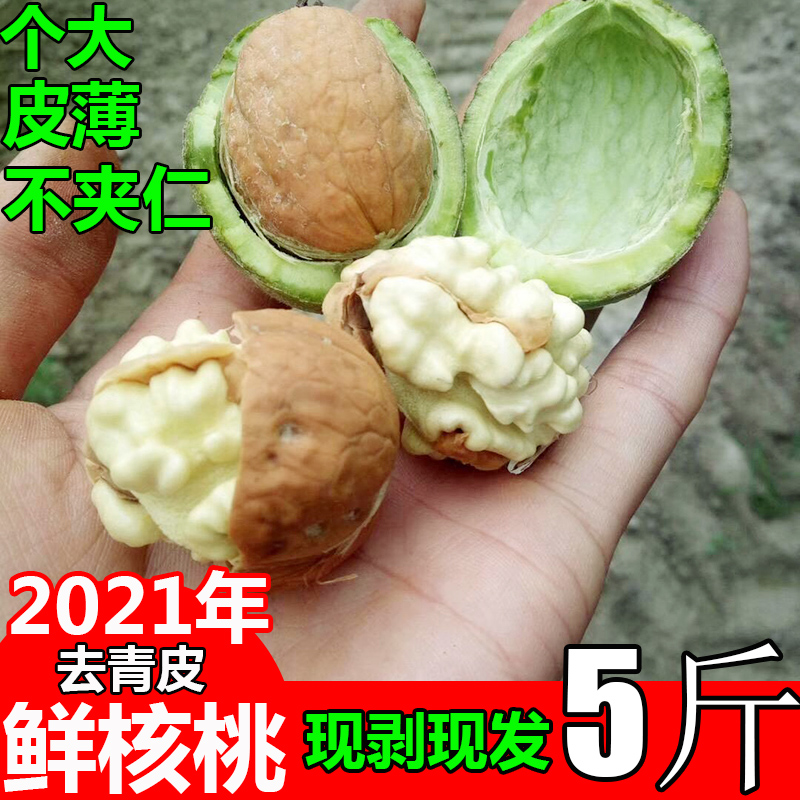 Shaanxi to green skin fresh spot wet walnuts are now picked green skin wild tender walnuts pregnant fresh walnuts 5 pounds