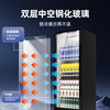 Star Refrigerated Cabinet, Refrigerated Display Cabinet, Fresh-Keeping Beverage Cabinet, Supermarket Display Commercial Refrigerator, Single-Door Vertical Freezer