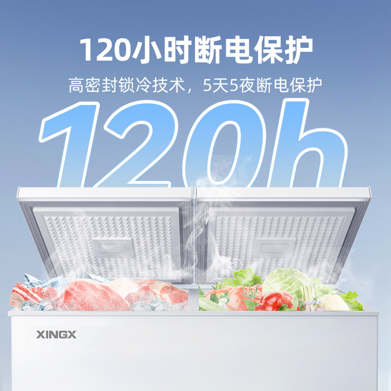Star Freezer Household Refrigerator Commercial Large-Capacity Refrigeration and Freezing Dual-Use Small Dual-Temperature Freezer