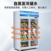 Star Refrigerator Beverage Cabinet Convenience Store Refrigerated Display Cabinet Supermarket Commercial Refrigerator Vertical Display Freezer