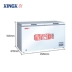 XINGX / Star BD / BC-480E Tủ đông chuyển đổi làm lạnh ngang thương mại - Tủ đông