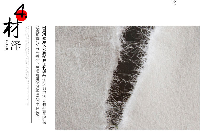 Affiche murale géante - Ref 2459882 Image 16