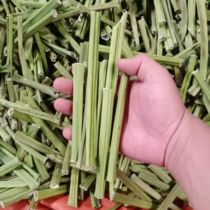2024 dried papaya stems 500g wholesale price not retail