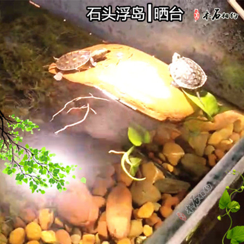 Stone Floating Island Goose Pebble Deep Water Turtle Sun Terrace Turtle Climbing Super High Water Level Sunburn Back Stone Original Eco-View Razor