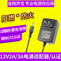 Jinling sound treasure 12V3A 2A wall plug-in power camera monitoring video recorder hard disk massage pillow charging cable
