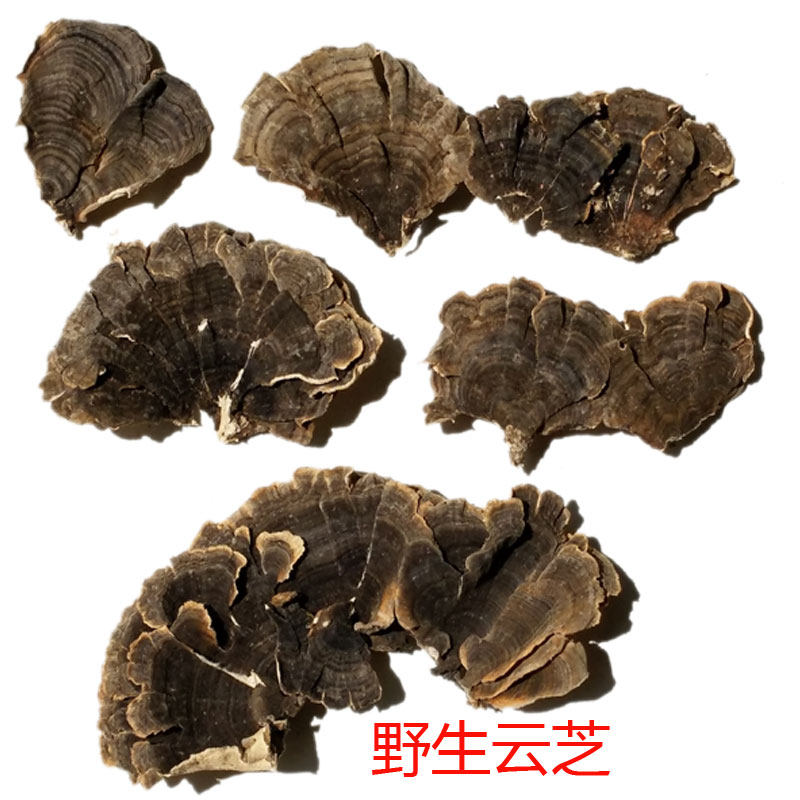 Deep Mountain Veteran's Authentic Wild Yunzhi Lucid Lingzhi Half Jin this year New stock All dry primary agricultural products