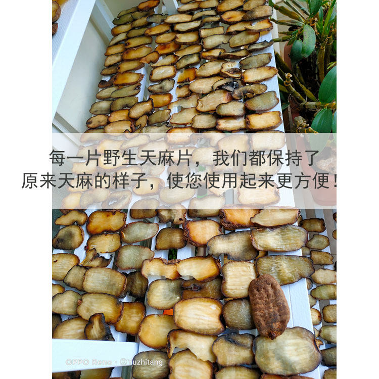 Wutian Ma Film 2.jpg