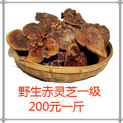 Jiugongge Group_05.jpg