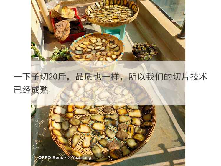 Wutian MA TABLETS 5.jpg