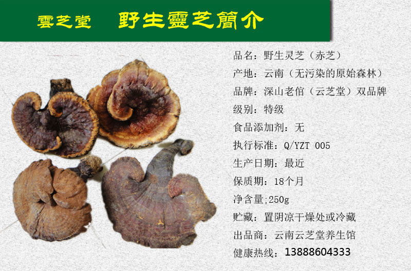 Tb2tqimxvxxxxxxxxxxxxxxxxxxxxxx _ !! 556444632.jpg