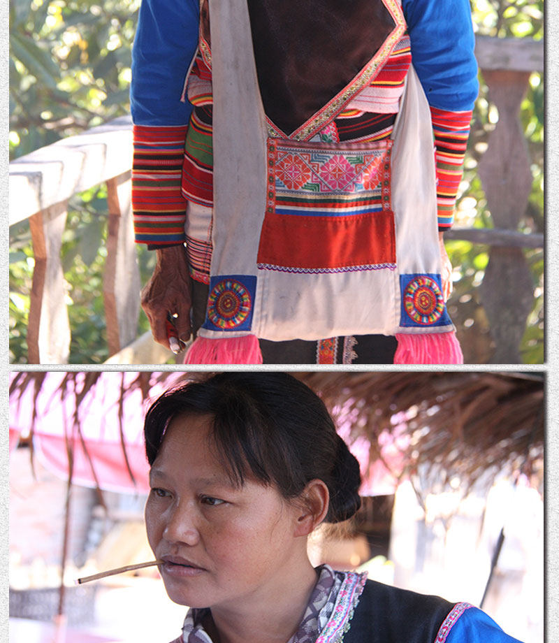 Описание Ganoderma 1_15