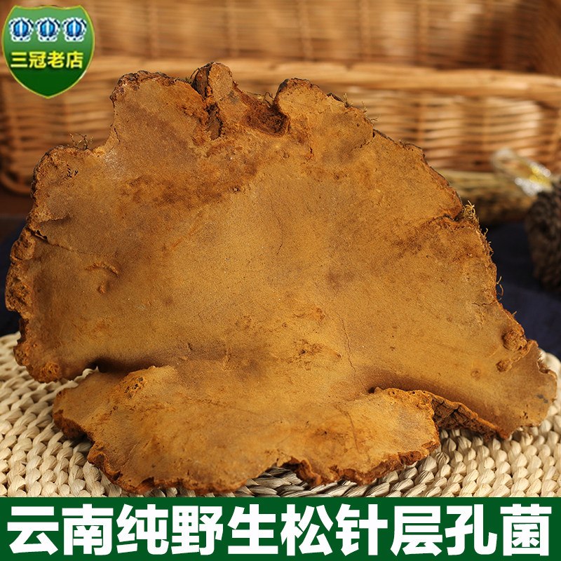 Zhengzong Yunnan wild pine needle Lingzhi Pine Conidium Pine Conidium Pine Mulberry Pine Mulberry Yellow Rinzhi Wild Lingzhi 500 gr