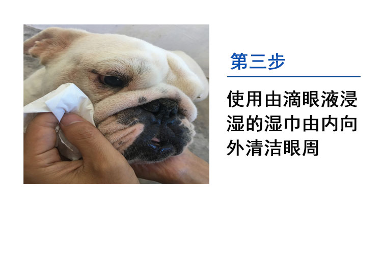 Nino pet dog và cat giọt nước mắt nhỏ mắt glaucoma ngoài nước mắt viêm kết mạc thuốc mỡ mắt chữa bệnh mắt đỏ thuốc nhỏ mắt - Thuốc nhỏ mắt thuốc nhỏ mắt cận thị