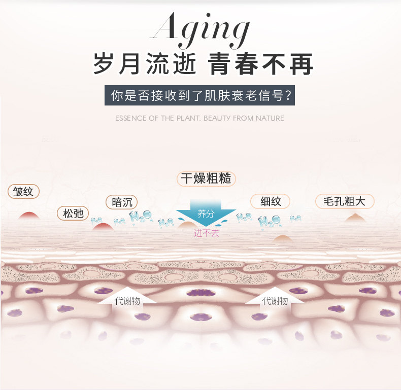 Lucifer Úc Bowtaniq cây bạch đàn thực vật dạng lỏng chai nhỏ màu trắng tinh chất mặt ba gói 10ml * 3 serum tri mun
