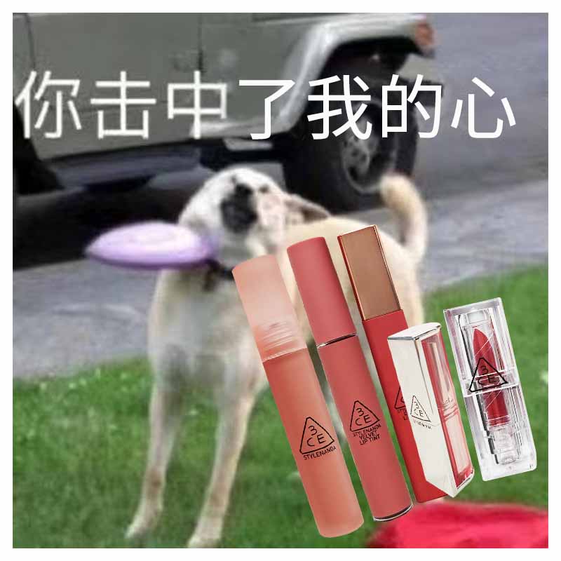 Spot 3CE lipstick Lip Glazed Affordable Student Small Crowdbrand Matt Mist Noodle Velvet Retro Matte Lip Gloss Korea-Taobao