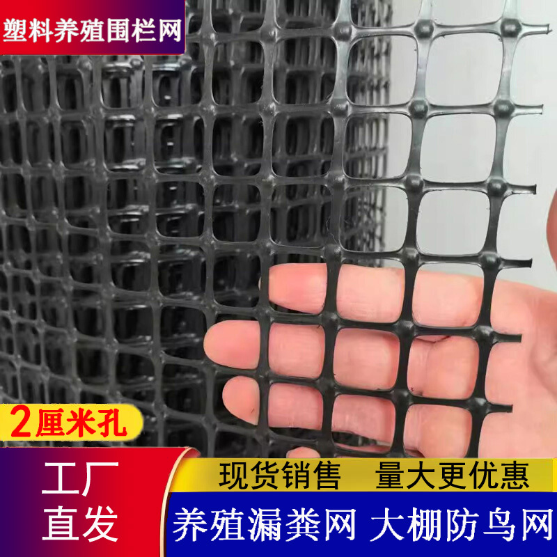 Plastic Net for Raising Chickens, Vegetables, Fish Pond Guardrails 2cm Hole Breeding Feces Leakage Net Greenhouse Anti-Pocket and Anti-Bird Fence Net